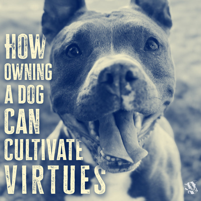 How Owning a Dog Can Cultivate Virtues