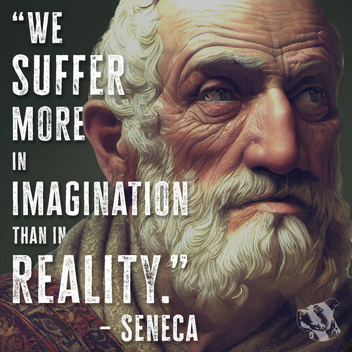 We Suffer More in Imagination